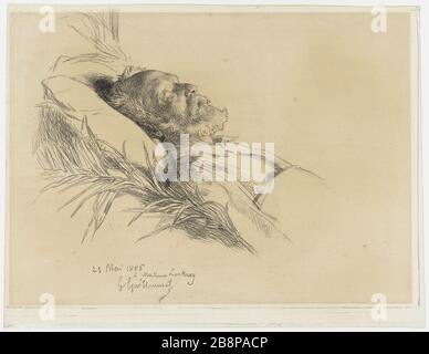 Victor Hugo on his deathbed, 1885 Stock Photo - Alamy