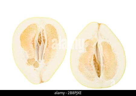 Juicy, ripe Citrus maxima, Citrus grandis, cut in half. Studio Photo Stock Photo
