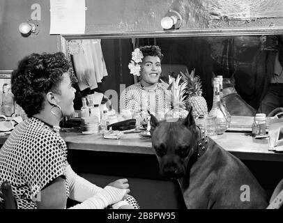 NEW YORK, NY - FEBRUARY, 1947: American jazz singer Billie Holiday (1915-1959) poses for a portrait with her dog Mister circa February, 1947 at the Downbeat Club in New York, New York. Credit:William Gottlieb / Rock Negatives/ MediaPunch Stock Photo