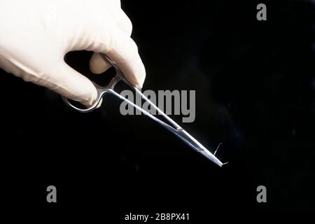 Gloved hand of surgeon with needle holder forceps and suture on black background. Stock Photo