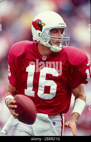 Jake Plummer of the Arizona Cardinals Stock Photo - Alamy