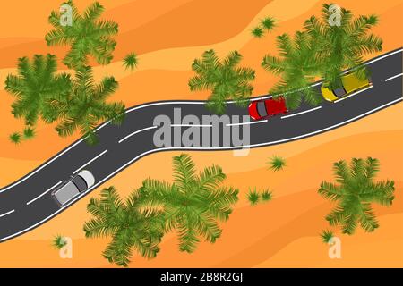 And empty desert and palms road aerial view vector illustration Stock Vector