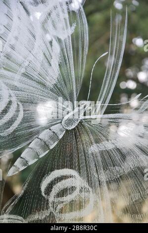 Detail of engraved glass window by Sir Laurence Whistler. Delicate etched lines depict a butterfly. St Nicholas Church, Moreton, Dorset, England, UK. Stock Photo