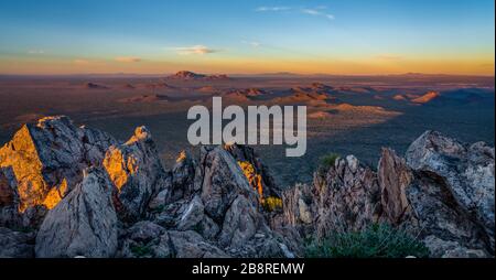 Saguaro Cactus in Arizona Desert Stock Photo