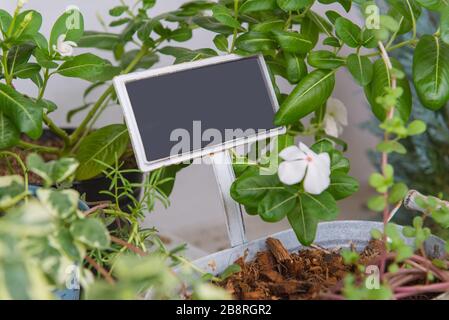 empty of sign standing in beautiful flowers garden. Stock Photo