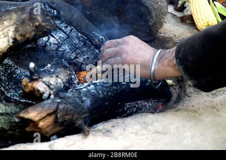 Indian Corn (bhutta) being cooked on burning wood Stock Photo