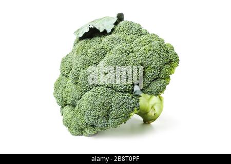 Broccoli closeup isolated on white background Stock Photo