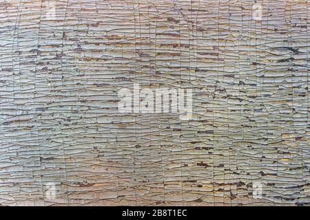 Old cracked paint on a wooden board Stock Photo