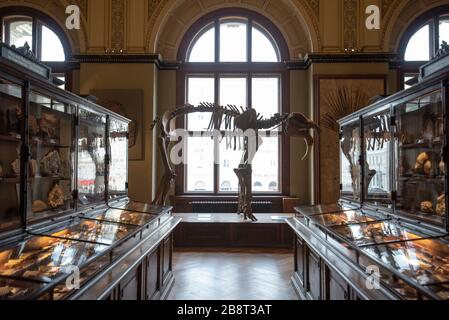 Vienna, Austria. The Museum of Natural History (Naturhistorisches Museum) interior. The largest and old museum displaying many specimens, dinosaur Stock Photo