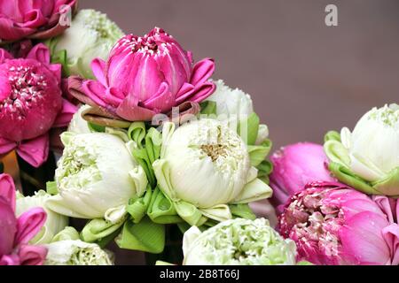 Traditional flowers offering  for donation a the Buddha, Cambodia. Bouquet of lotus flower offerings of white and purple colors. Copy space for text Stock Photo