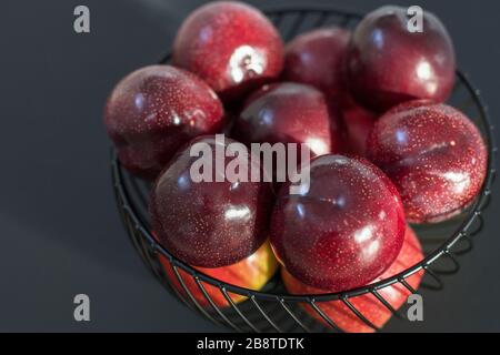 fresh round purple plums, in a black fruit bowl, on a black background. Stock Photo