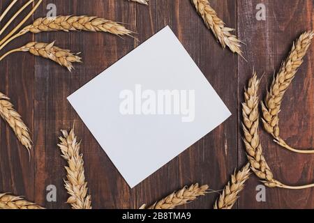 Wheat ears with grains and empty paper on wooden table top view Stock Photo