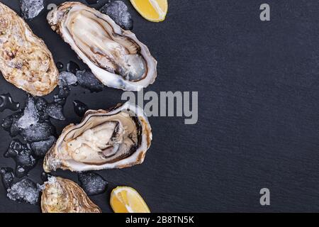 Fresh raw opened oysters with ice and lemon slices on black slate background Stock Photo