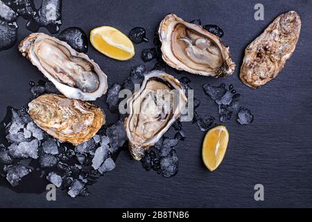 Fresh raw opened oysters with ice and lemon slices Stock Photo