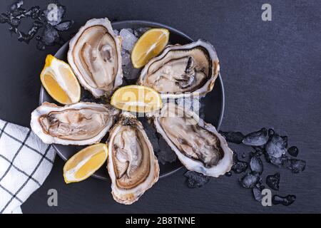 Fresh raw opened oysters with ice and lemon slices Stock Photo