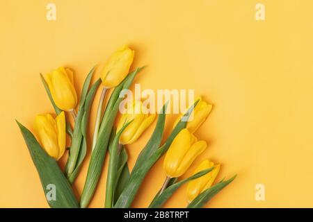 Bouquet of fresh bright spring tulips on yellow background. Stock Photo