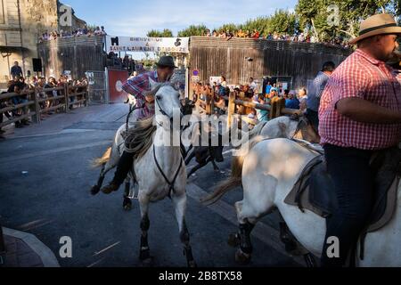 Bullfight in Saint Laurent d'Aigouze, Camargue (Provence, Occitània, France) Stock Photo