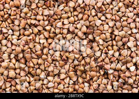 Buckwheat groats close up. Diet concept. Abstract background. Stock Photo