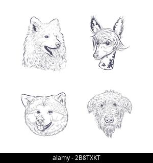 Purebred dog faces isolated on white background. Stock Vector