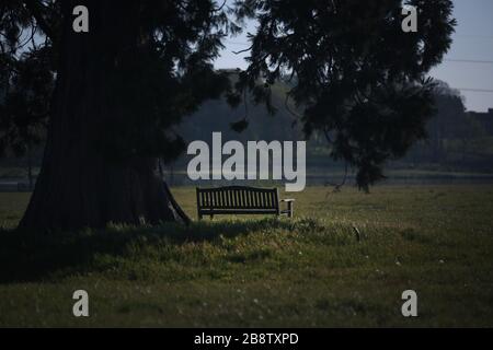 Empty Bench Underneath Tree In A Field Stock Photo