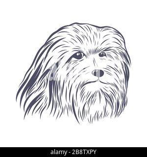 Bearded collie face isolated on white background. Stock Vector