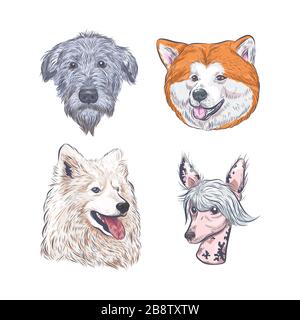 Purebred dog faces isolated on white background. Stock Vector