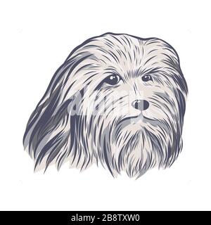 Bearded collie face isolated on white background. Stock Vector