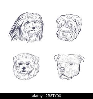 Purebred dog faces isolated on white background. Stock Vector