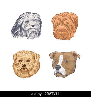 Purebred dog faces isolated on white background. Stock Vector