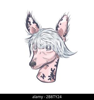 Chinese crested dog head isolated on white background. Stock Vector