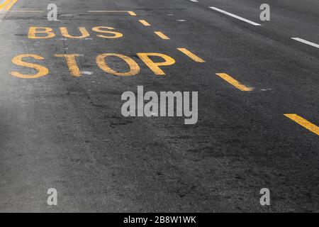 Yellow bus stop marking over urban asphalt road, public transportation background photo Stock Photo