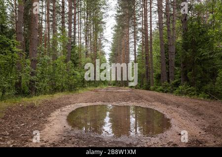 Dirty rural road with large puddle, countryside travel background Stock Photo