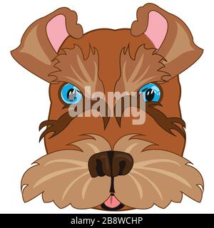 Portrait of the dog of the sort scnauzer on white background is insulated Stock Vector