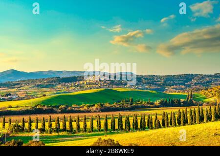 Sunset landscape in Maremma countryside. Rolling hills and cypress trees. Casale Marittimo. Tuscany, Italy, Europe Stock Photo