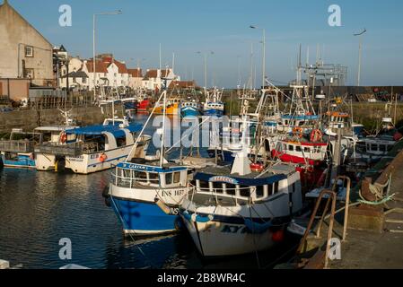 Fishing boats tied up in Pittenweem harbour, east Neuk, Fife Scotland. Stock Photo