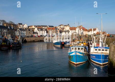 Fishing boats tied up in Pittenweem harbour, east Neuk, Fife Scotland. Stock Photo