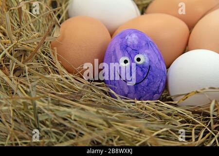 Colored chicken egg in the straw nest Stock Photo