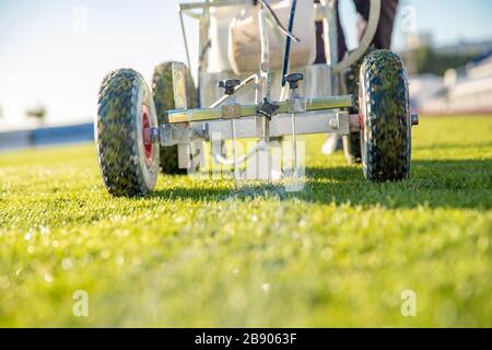 Lining a football pitch using white paint on grass Stock Photo