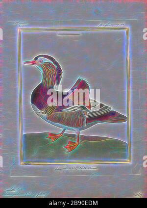 Aix galericulata, Print, The mandarin duck (Aix galericulata) is a perching duck species native to East Asia. It is medium-sized, at 41–49 cm (16–19 in) long with a 65–75 cm (26–30 in) wingspan. It is closely related to the North American wood duck, the only other member of the genus Aix. Aix is an Ancient Greek word which was used by Aristotle to refer to an unknown diving bird, and galericulata is the Latin for a wig, derived from galerum, a cap or bonnet., 1700-1880, Reimagined by Gibon, design of warm cheerful glowing of brightness and light rays radiance. Classic art reinvented with a mod Stock Photo