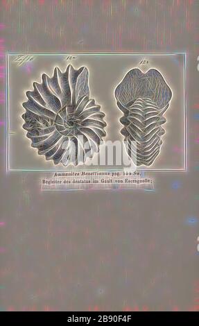 Ammonites benettianus, Print, Ammonoidea, Ammonoids are a group of extinct marine mollusc animals in the subclass Ammonoidea of the class Cephalopoda. These molluscs, commonly referred to as ammonites, are more closely related to living coleoids (i.e., octopuses, squid, and cuttlefish) than they are to shelled nautiloids such as the living Nautilus species. The earliest ammonites appear during the Devonian, and the last species died out in the Cretaceous–Paleogene extinction event., Reimagined by Gibon, design of warm cheerful glowing of brightness and light rays radiance. Classic art reinvent Stock Photo