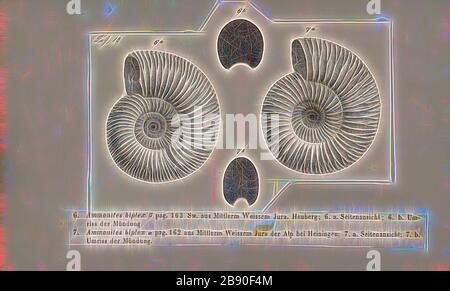 Ammonites biplex, Print, Ammonoidea, Ammonoids are a group of extinct marine mollusc animals in the subclass Ammonoidea of the class Cephalopoda. These molluscs, commonly referred to as ammonites, are more closely related to living coleoids (i.e., octopuses, squid, and cuttlefish) than they are to shelled nautiloids such as the living Nautilus species. The earliest ammonites appear during the Devonian, and the last species died out in the Cretaceous–Paleogene extinction event., Reimagined by Gibon, design of warm cheerful glowing of brightness and light rays radiance. Classic art reinvented wi Stock Photo