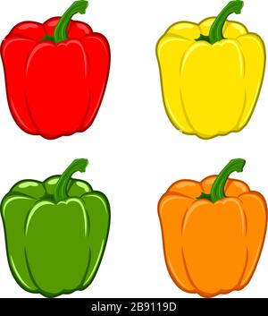 Vector illustration of paprika. Set of four vector illustration of peppers. Red, Yellow, Green and orange pepper. Stock Vector