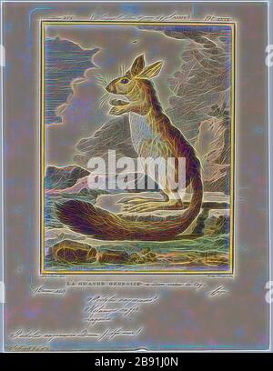 Pedetes capensis, Print, The South African springhare (Pedetes capensis ...