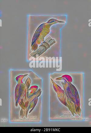 Picus, Print, 1700-1880, Reimagined by Gibon, design of warm cheerful glowing of brightness and light rays radiance. Classic art reinvented with a modern twist. Photography inspired by futurism, embracing dynamic energy of modern technology, movement, speed and revolutionize culture. Stock Photo