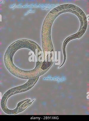 The Burmese python (Python bivittatus) is one of the five largest ...
