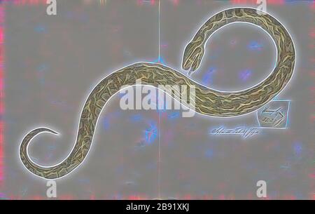 The Burmese python (Python bivittatus) is one of the five largest ...