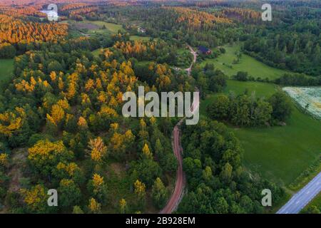 Aerial of a road and forest at sunset in summer in Kalmar Stock Photo