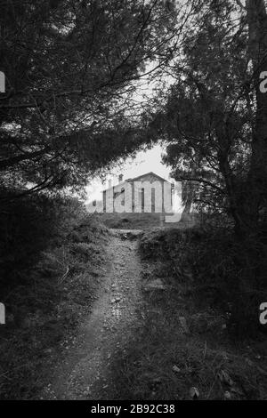 Forest path leading to an abandoned house on a hill. Black and white. Stock Photo