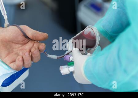 The hand of a man who donates blood. Male donor gives blood in a mobile blood donation center. Blood samples. Hands of the nurse with protective Stock Photo