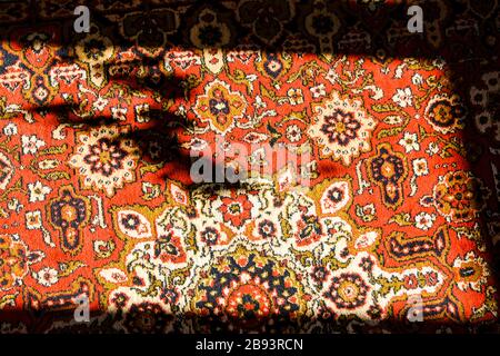 precious ancient colored wool rugs made by hand, ornament of Central Asian carpet with deep shadows Stock Photo